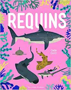 requins