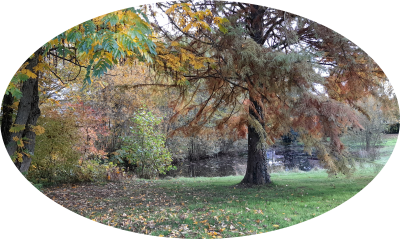 automne